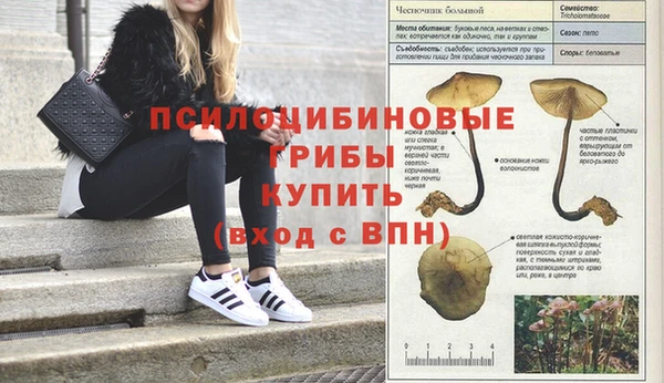 MDMA Козельск