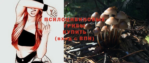 ешки Кодинск