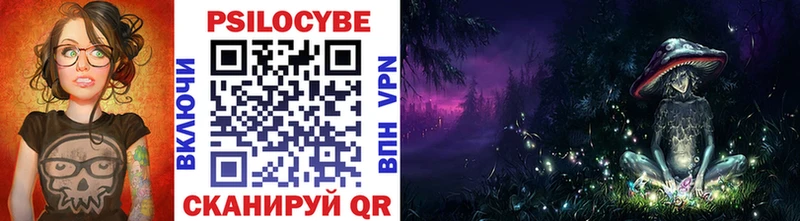 Купить закладки  Ядрин  Псилоцибиновые грибы прущие грибы 